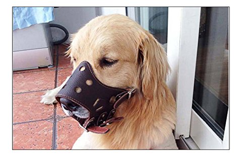 [Australia] - Fashion 1989 Leather Dog Muzzle Anti-bite Anti-Ingestion pu Puppy pet Mouth snoring mask pet Supplies L Brown 