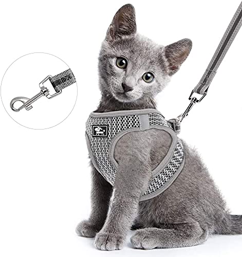 Reflective Padded Dog Puppy Chest Vest Harness With Lead (Grey, Small) Grey - PawsPlanet Australia
