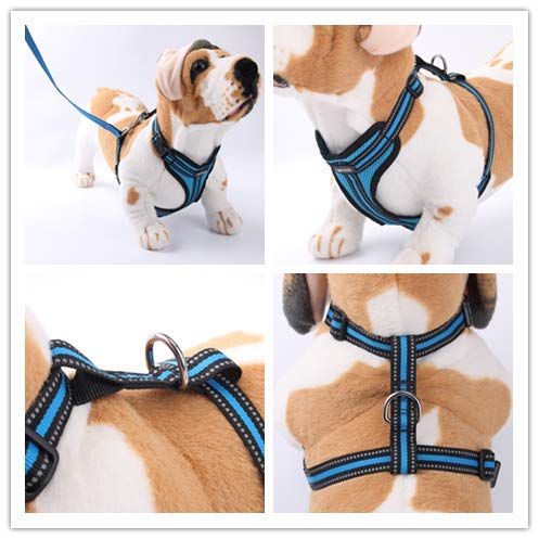 [Australia] - LMYOVE Dog Harness with Leash, Reflective Adjustable Vest Harness for Dogs Large Blue 