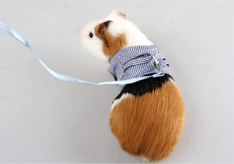 YJZQ Guinea Pigs Safety Harness Adjustable Stripe Pet Harness Vest Lead Rope for Rats Iguana Hamster Ferrets Small Animal Pet Training or Walking blue - PawsPlanet Australia