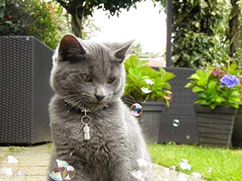 Pet Qwerks Incredibubbles for Cats & Dogs - Long Lasting Bubbles with Non-Toxic Formula, Avoids Boredom & Keeps Pets Active | Best for Outdoor Use Catnip - PawsPlanet Australia