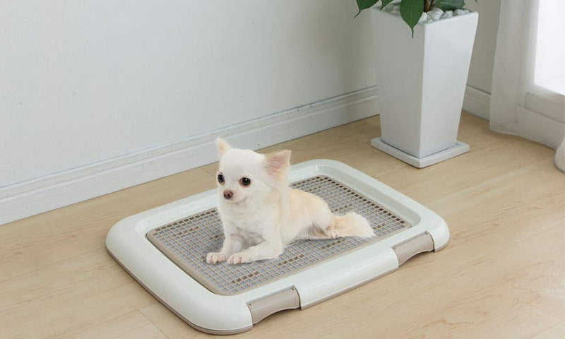 Iris Ohyama, Training pad holder / puppy training tray, grid for dry paws, 2 latch closure, non-skid rubber feet, holds pad 45 x 33 cm, for puppy & dog - Dog Toilet Training FTT-485 - Beige Small Tray with grid - PawsPlanet Australia