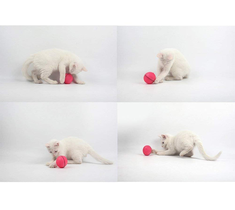 [Australia] - Eko Interactive 3 Cat Ball 360 Degree Self Rotating Ball Automatic LED Light Entertainment Exercise Toy for Pet 