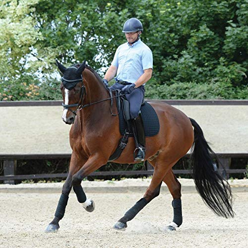 Weatherbeeta Prime Dressage Saddle Pad - Black Full - PawsPlanet Australia