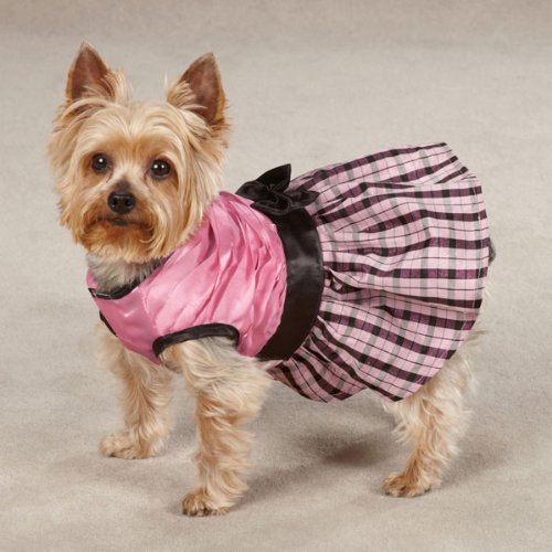 [Australia] - East Side Collection Polyester The First Lady Ruffle Taffeta Dog Dress, XX-Small, 8-Inch, Pink 