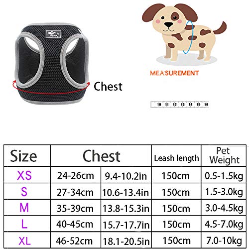 Penivo Small Dog Harness Vest Puppy Breathable Mesh Pet Dog Harness and Leash Set Reflective for Small Medium Dogs Chest Strap Walking Lead (L,40-45cm, Pink) L,40-45cm - PawsPlanet Australia