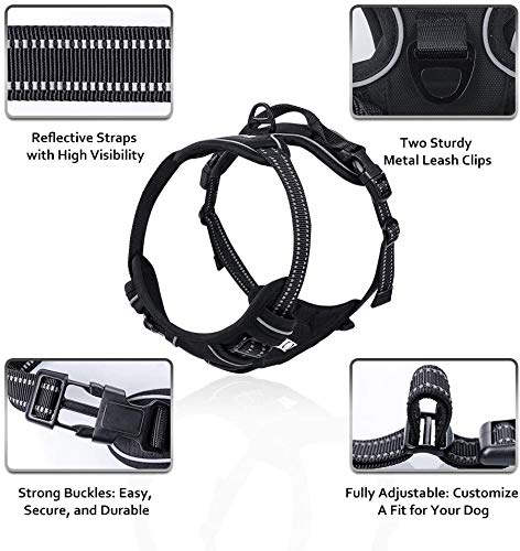[Australia] - rabbitgoo Dog Harness, No Pull Adjustable Dog Vest with Handle, Reflective Pet Harness with Front & Back Metal Leash Clips, Soft Padded Easy Control Walking Vest for Large Medium Small Dogs Black 