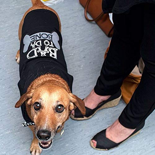 Parisian Pet Bad to Da Bone Dog T-Shirt, X-Large XL - PawsPlanet Australia