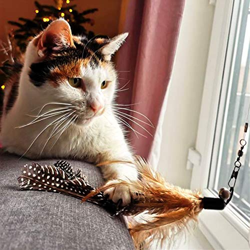 Petface Retractable Feather and Bell Wand Cat Toy - PawsPlanet Australia