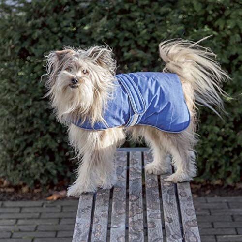 TRIXIE Belfort Coat, L, 55 cm, Blue, Dog - PawsPlanet Australia