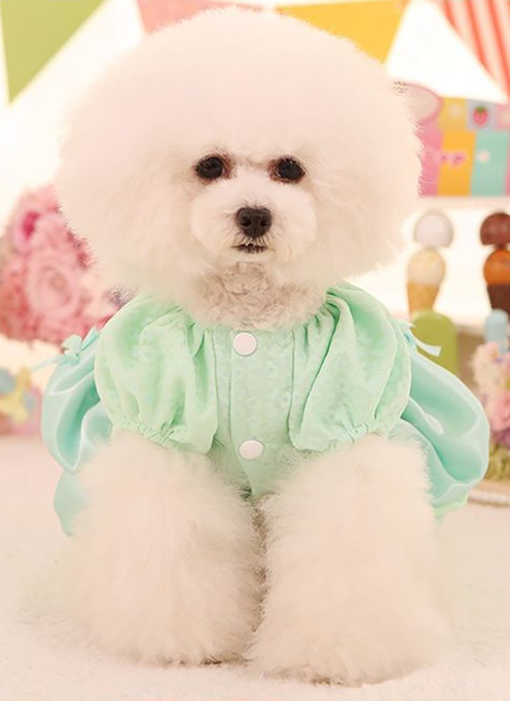 MaruPet Elegant Princess Lace Hollow Dress Silky Tutu Queen Style with Bowknot for Small, Extra Small Dog Teddy, Pug, Chihuahua, Shih Tzu, Yorkshire Terriers X-Small C-Green - PawsPlanet Australia