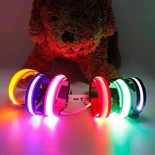 LED Dog Collar, USB Rechargeable Nylon Glowing Pet Collar, Fashion Safety Lights for Small Medium Large Dogs Black L (18.9-22"/48-56cm) - PawsPlanet Australia