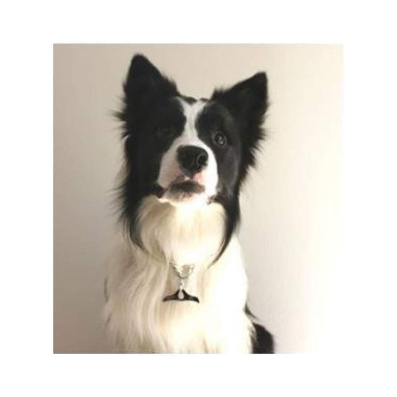 [Australia] - Herm Sprenger - Medium Choke Chain with Toggle - Professional Grade Training Collar Dog Collars Made of Chrome-Plated Steel - Perfect for Short Haired Breeds - Safe 