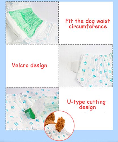 [Australia] - YINGYAO Pet Soft Disposable Wraps Female Dog Diapers,12piece L 