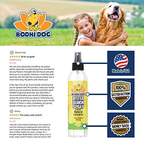 [Australia] - Bodhi Dog Bitter Lemon Spray | Stop Biting and Chewing for Puppies Older Dogs and Cats | Anti Chew Spray Puppy Kitten Training Treatment | 100% Non Toxic | Made in USA 8oz 