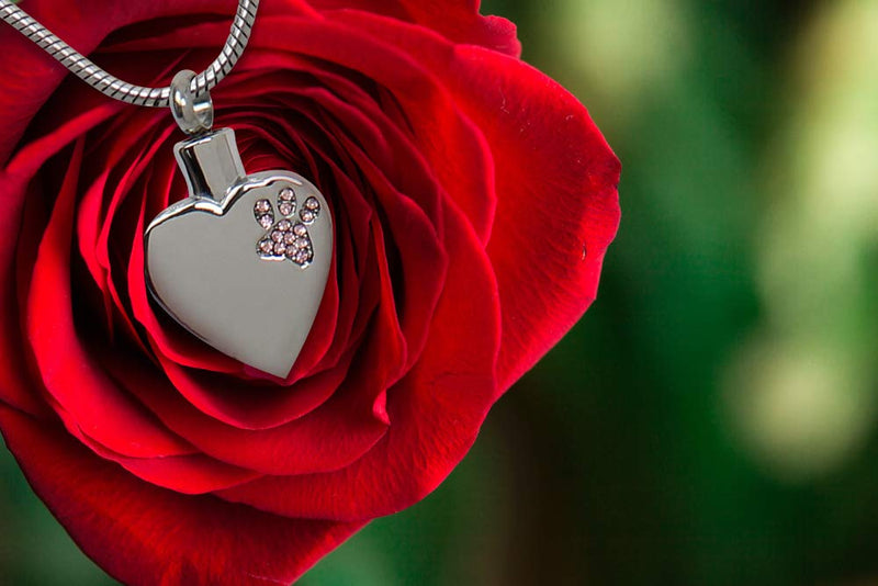 [Australia] - Royal Matter Heart with Pink Paw Print Stainless Steel Cremation Urn Pendant with Chain 