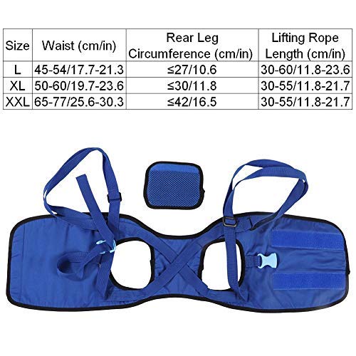 Dog Walking Lifting Carry Lift Support Harness Dog Sling Assist Belt Breathable Dog Mobility Recovery Sling for Hip Assist Stability Injured Disabled Arthritis Joint Pain Elderly(XXL) XXL - PawsPlanet Australia