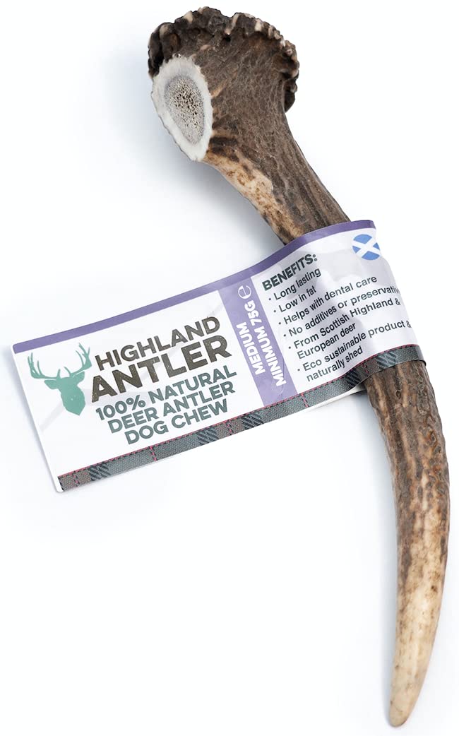 Antos Antler Dog Chew Medium and Split Antler Dog Chew Medium Deer Horn Dog Chew - PawsPlanet Australia