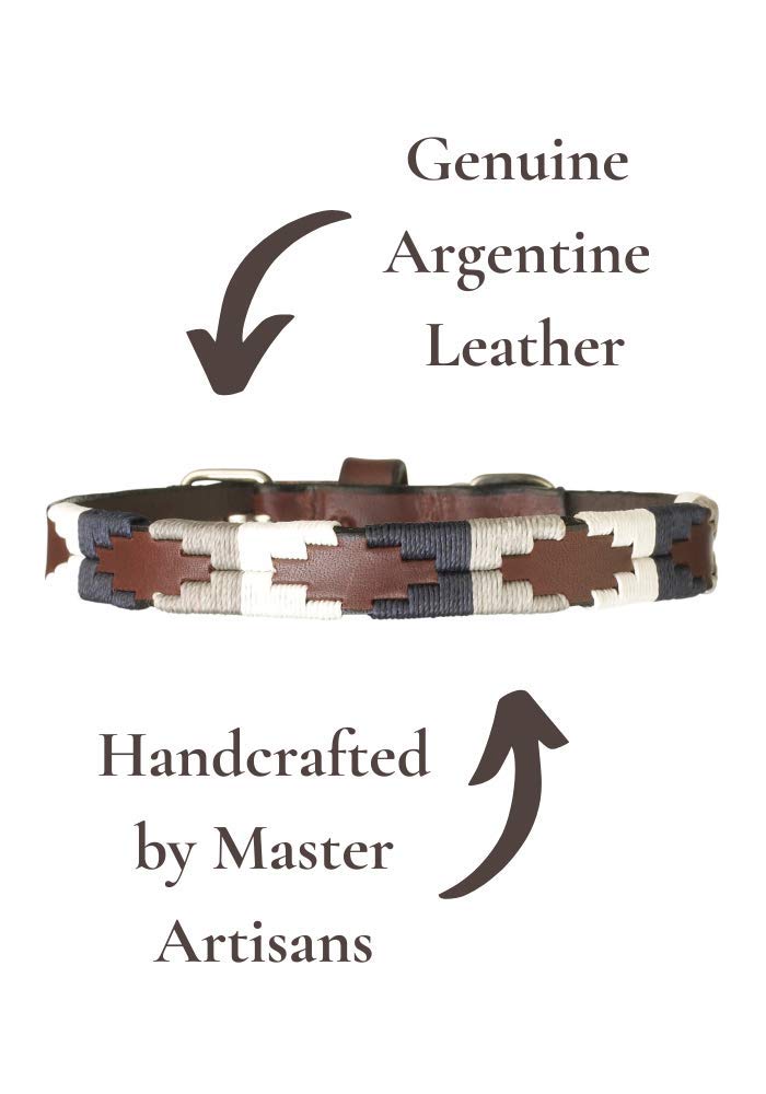 Roca Premium Argentine Leather Handcrafted Polo Dog Collar - Gift Boxed by pampeano | Collars for all Breeds | 1.5cm Wide, Top Grain Brown Leather Stainless Steel Buckle S/ 45cm - PawsPlanet Australia