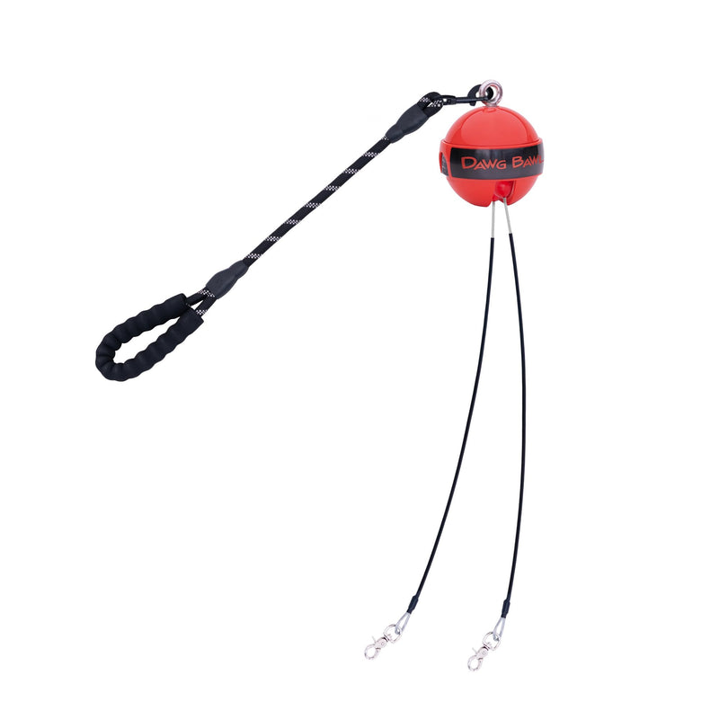 Multi Dog Leash Tangle Free (Up to 30 pounds Each) Patented Automatic Untangle The Leads When Your Dogs Change Positions, Dawg Bawl Leash is Adjustable for 2, 3 or 4 Dogs - PawsPlanet Australia