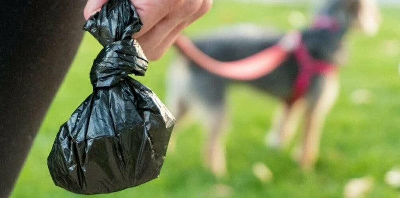 World of pets Dog Poop Waste Bags Pack of 125 Lemon Scented Disposable Bags Pat's Poop Scoop - PawsPlanet Australia