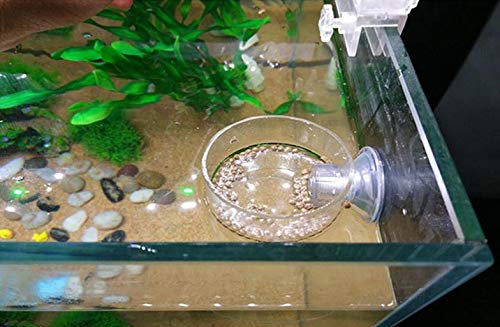 DGZZI Fish Feeder Acrylic Aquarium Fish Tank Adjustable Circle Ring Fish Feeding Floating Food Dish Food Protection Cover Tray Feeder 7x8.5cm/2.75x3.35inch - PawsPlanet Australia