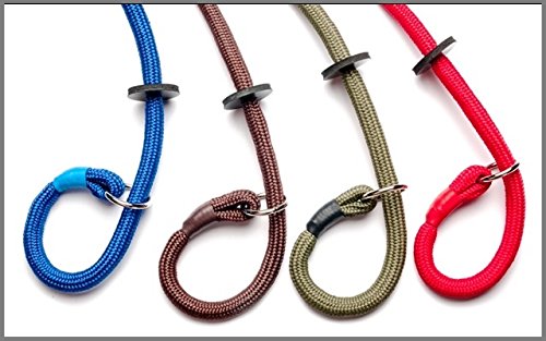 Dog & Field Deluxe Gundog Slip Lead (Blue) Super Soft Braided Nylon with Rubber Stopper - One Size Fits All and Suitable For All Breeds of Dog with 4 Colour Options (Blue) Blue - PawsPlanet Australia