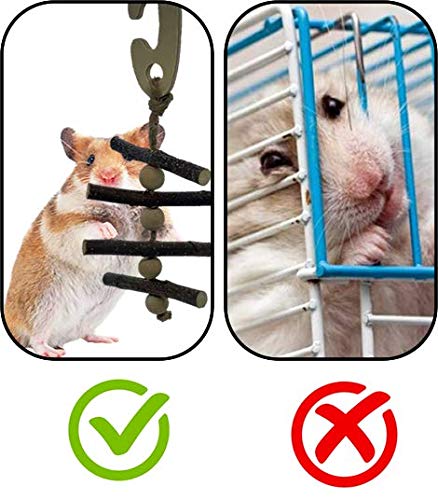 Pet Small Animal Accessories Wooden Hanging Chew Charm Toy Mouse Hamster Rat Gerbil Chinchilla Reptile Chew Toys - PawsPlanet Australia