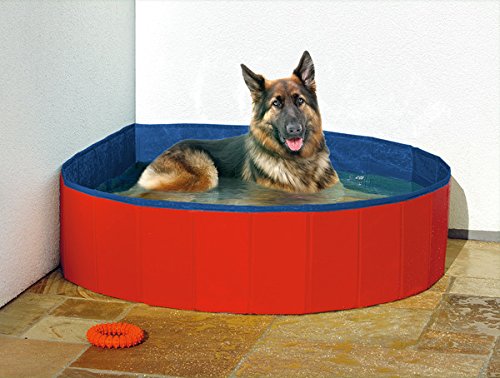 Dogs Swimming Pool Medium: 120 cm x 30cm High - PawsPlanet Australia
