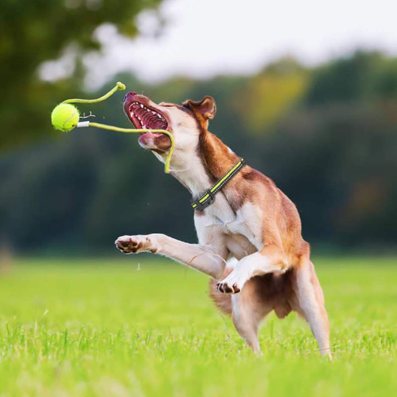 [Australia] - Ace Teah Dog Shock Collar with Remote, Dog Training Collar for Large 2 Dogs 