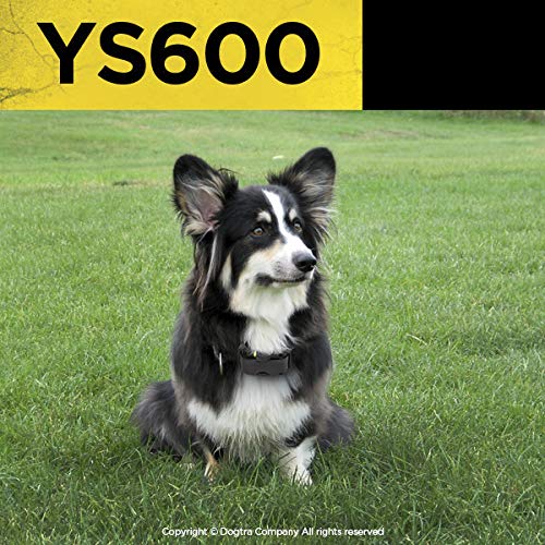 [Australia] - Dogtra YS600 Rapid Charging No Bark Collar - 10 Level Stimulations, Medium to Large 