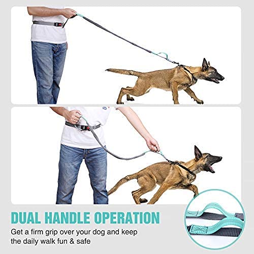 BIGLUFU Hand Free Dog Lead, Dog Walking Belt Adjustable Dog Leash Waist Belt Pet Dog Leash Couple Running and Jogging Lead Belt, Reflective Stitching for Medium to Small Dogs(Green) Green - PawsPlanet Australia