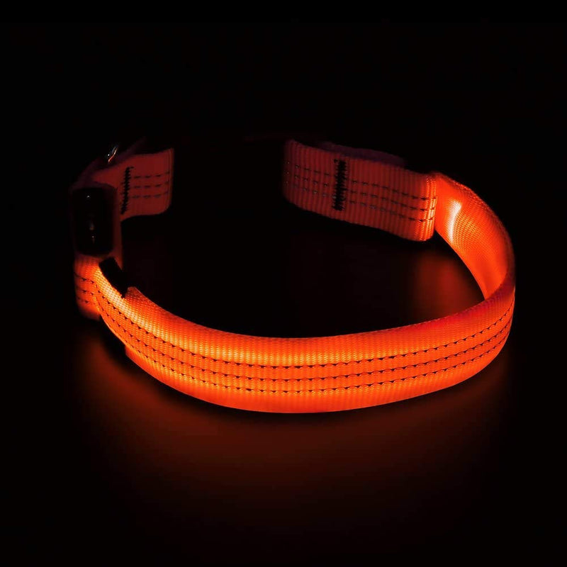 Iseen Led Dog Collar Illuminated Dog Collars Reflective Dog Collar Dog Lights for the Dark Dogs USB Rechargeable Adjustable Size Dog Collars for Puppy Dogs S Orange - PawsPlanet Australia