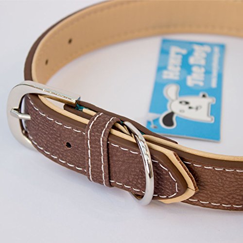 NEW Golden Retriever - Brown Dog Collar - Large & X-Large Size - (Large 40cm - 50cm / 15.7-19.7 inches) Large 40cm - 50cm / 15.7 - 19.7 inches - PawsPlanet Australia