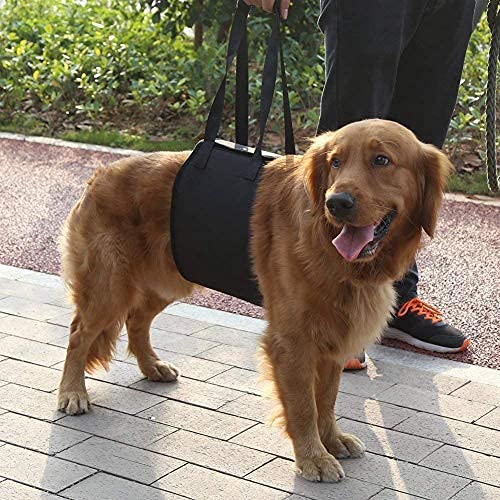 Dog Ramp, Auxiliary Belt for Pets Classic Lifting Harness for Older or Sick Dogs to Climb and Down Stairs Get in and Out of Vehicles (S) - PawsPlanet Australia