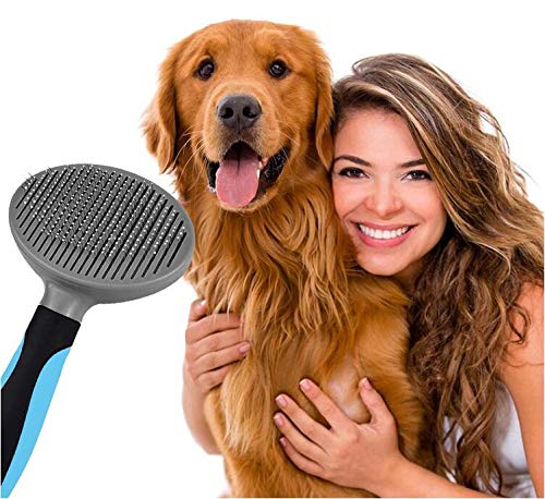 Petderland Pets Dog & Cat Grooming Brush, Pin Bristles Brush for Long & Short Haired Pet，Grooming Tool, Shedding Tool, Removes Mats, Tangles and Shedding Hair Blue&Grey - PawsPlanet Australia