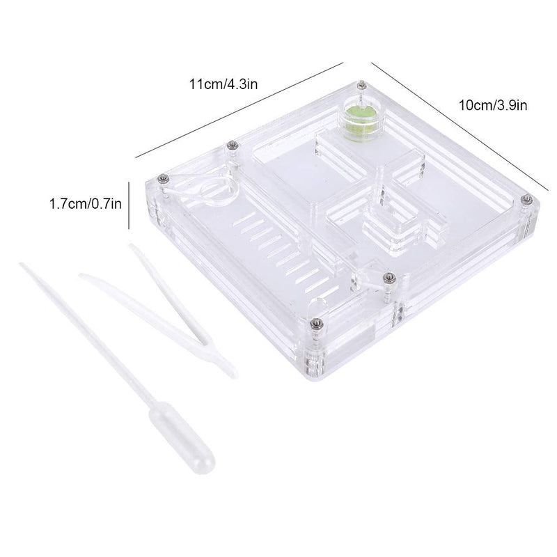 Live Ant Farm Acrylic Insect Breeding Box Transparent Ant Display Box Ant Feeding Box Ant Habitat - PawsPlanet Australia