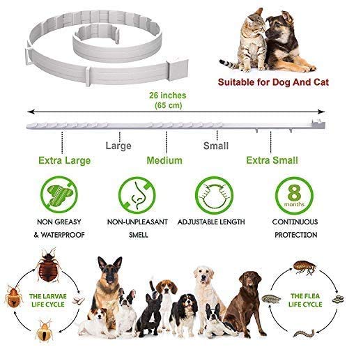Flea and Tick Prevention Collar One Size Fits All Dogs Flea and Tick Control with Adjustable Design Natural Ingredients Waterproof - 8 Months Protection - PawsPlanet Australia