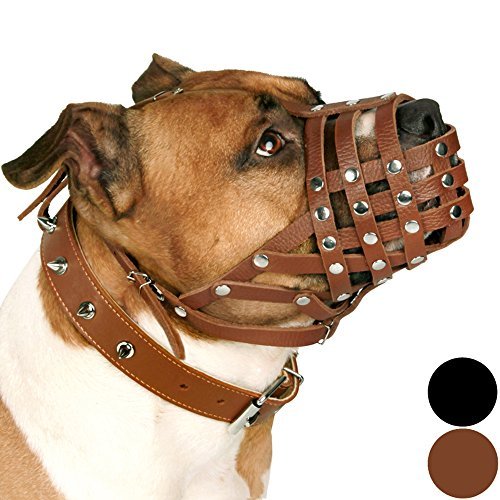 CollarDirect Dog Muzzle Pitbull Amstaff Staffordshire Terrier, Safe Leather Dog Muzzle Against Barking, Biting, Chewing, Black, Brown - PawsPlanet Australia