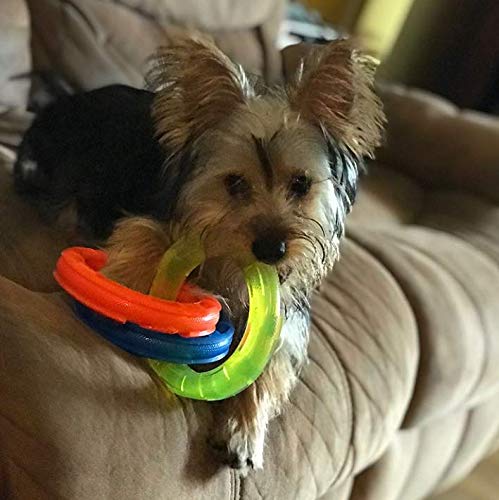 [Australia] - Nerf Dog Multi-Ring TPR Tuff Tug Dog Toys One-Size-for-Most Blue/Green/Orange 