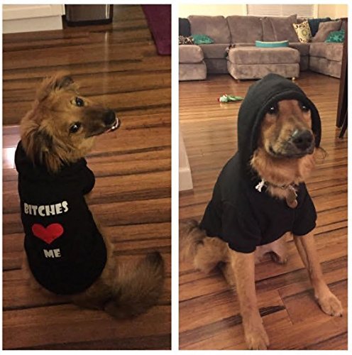 [Australia] - EXPAWLORER "Bitches Love ME Dog Hoodies Fleece Sweater Shirt Black M: 16" 