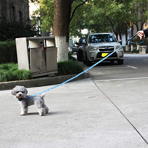 [Australia] - azuza Reflective Dog Collar and Leash Set, Blue Camo Padded Collar with Matching Clip Handle Leash for Small Medium and Large Dogs S (Neck: 11"-16") 