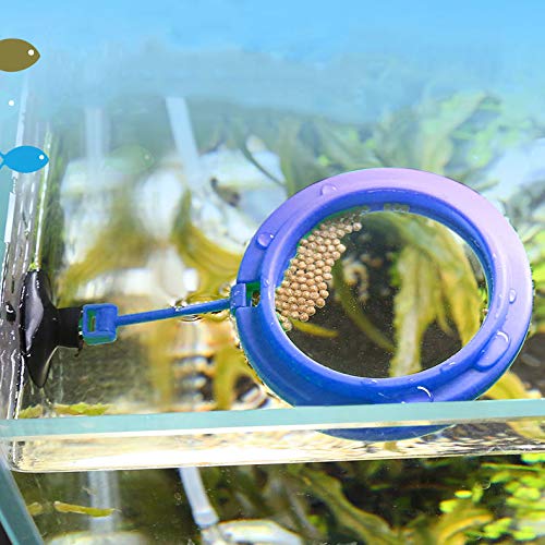 Feeding Ring with Suction Cup, 4x4 Inches, Aquarium Floating Food Feeder Square Suitable for Flakes and Floating Fish Foods, for Guppy, Betta, Goldfish and Other Small Fish (Ring) - PawsPlanet Australia