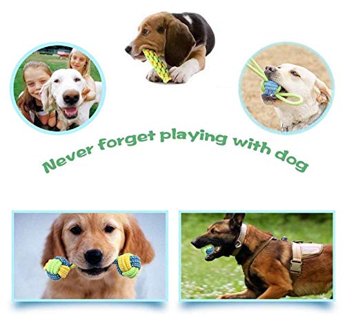 Anlising Toy Set Rope 7 Pcs Dog Chew Toy Puppy Molar Toy Various Styles of Dog Toy Tooth Cleaning Plush Rope Suitable for puppies, small dogs, medium-sized dogs - PawsPlanet Australia