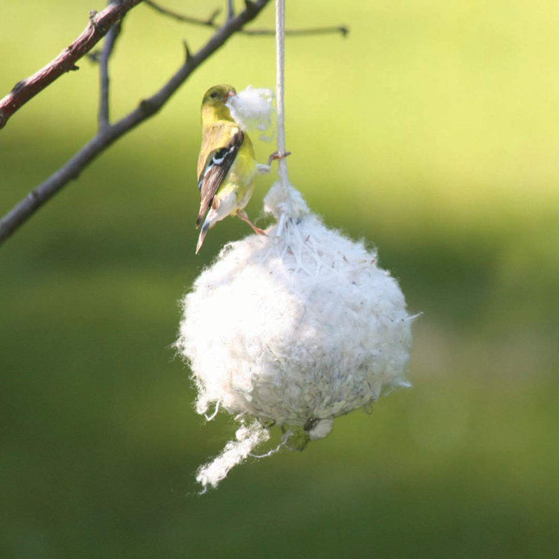 [Australia] - Birds Choice Cotton Tail Nesting Ball 