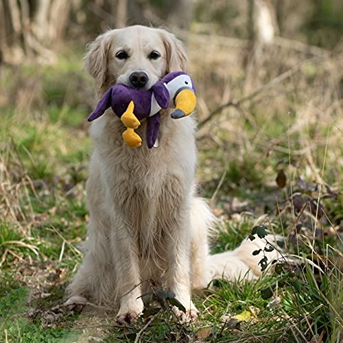 Petface Planet Plush Tegan the Toucan Eco Friendly Dog Toy A Toucan - PawsPlanet Australia
