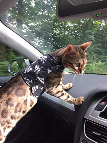 Mynwood Cat Jacket/Harness Skulls Adult Cat - PawsPlanet Australia