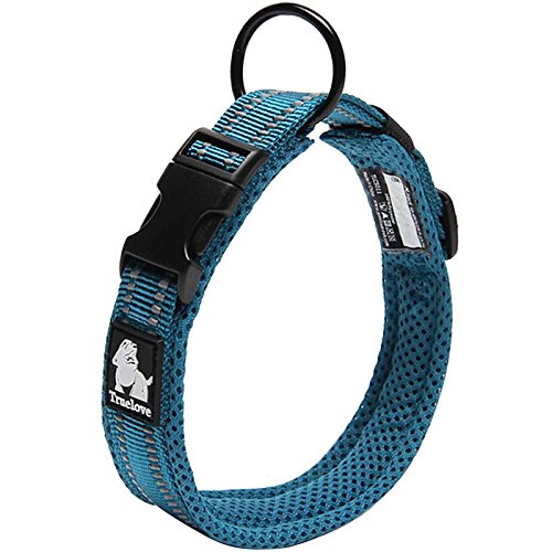 [Australia] - Creation Core Reflective Nylon Dog Collar and Training Leash Set for All Season Padded Durable Adjustable L(17.7-19.7") Blue 