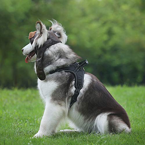 [Australia] - leconpet Dog Aviator Hat, Dog Winter Pilot Hat with Ear Flaps for Cold Weather S Black 