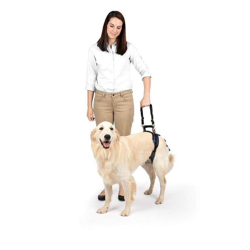 PetSafe CareLift Rear Support Harness - Lifting aid with handle and shoulder strap - Great for pet mobility and older dogs - Comfortable, breathable material - Easy to adjust - Large - PawsPlanet Australia